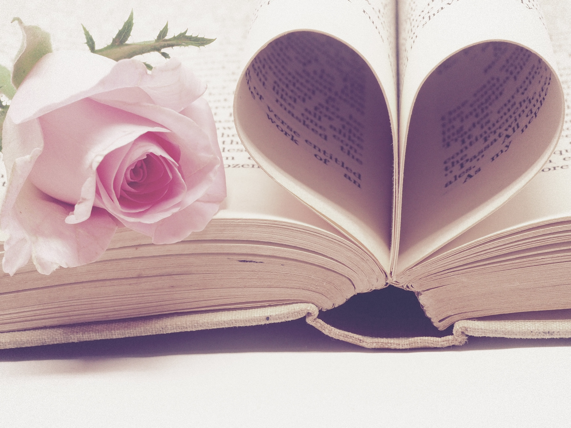 Book and a Rose